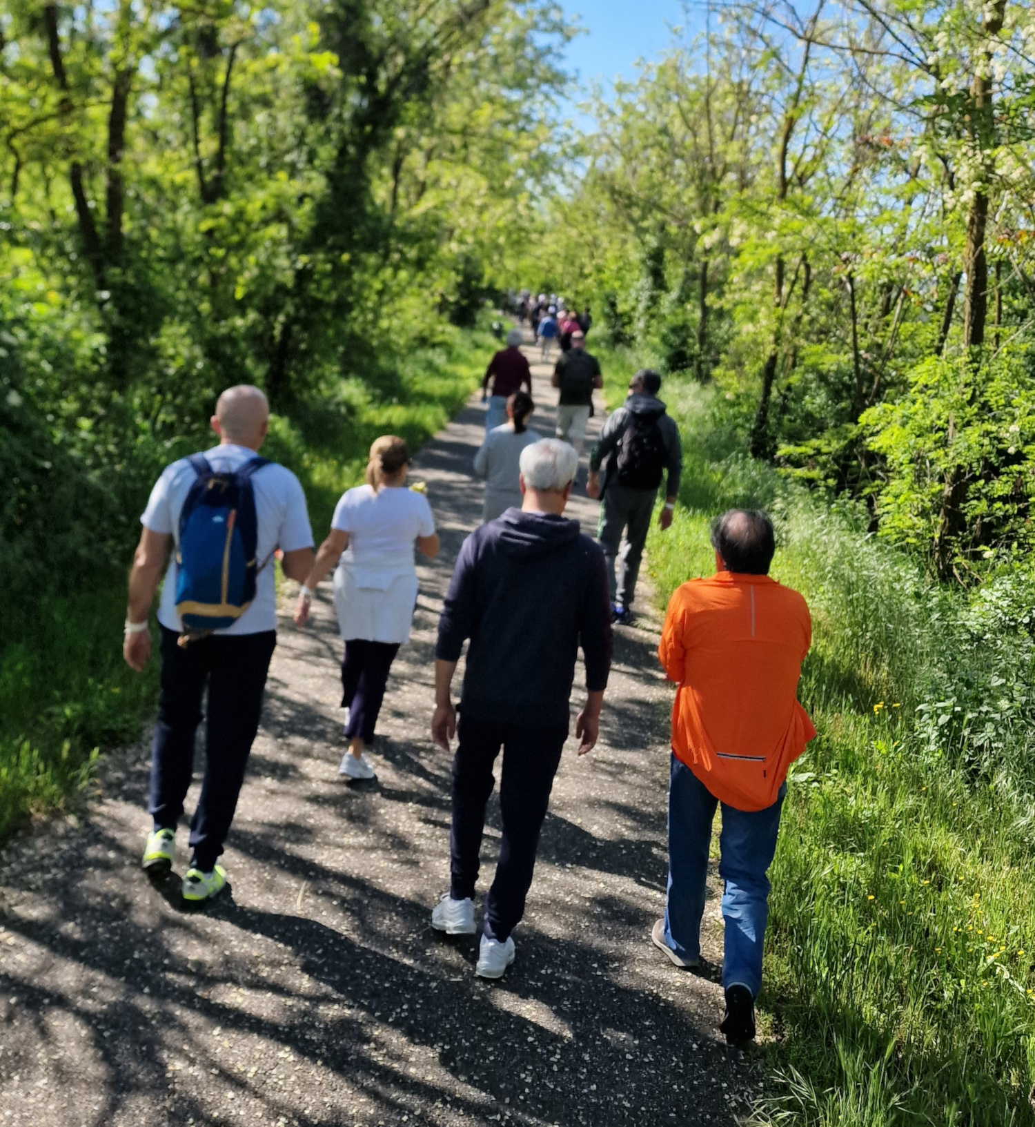 Lungo la greenway per la camminata Stop Ictus